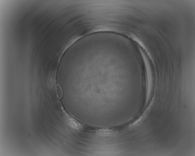 X0000072971137200607211216