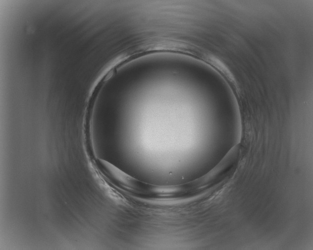 X0000072971138200607211216