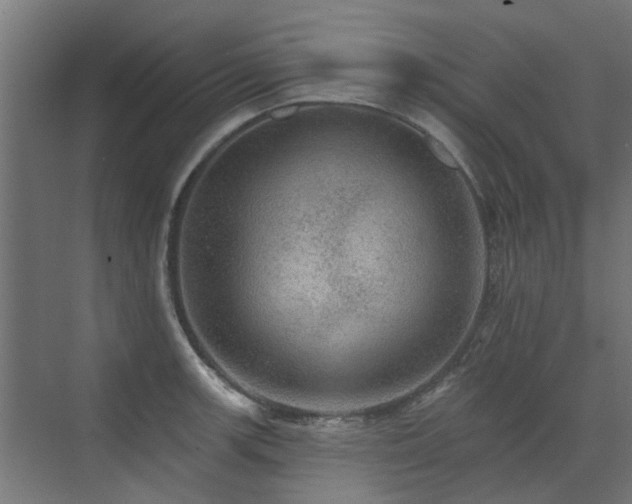 X0000072971139200607211216