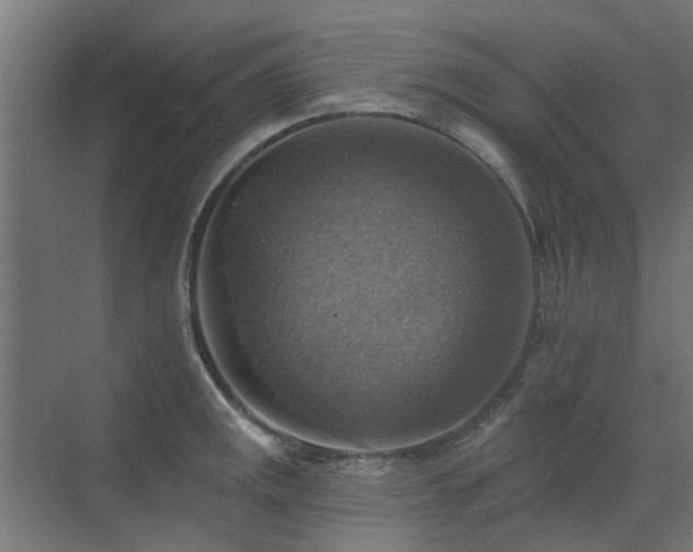 X0000072971141200607211216