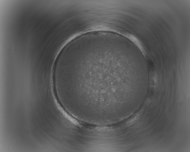 X0000072971142200607211216