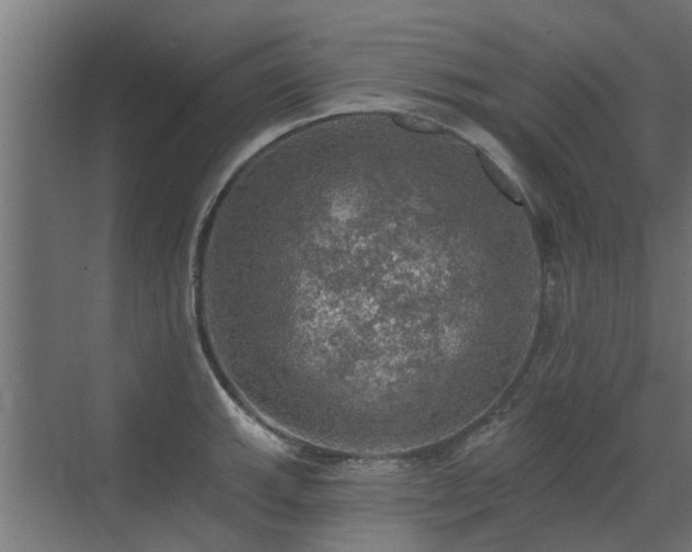 X0000072971143200607211216