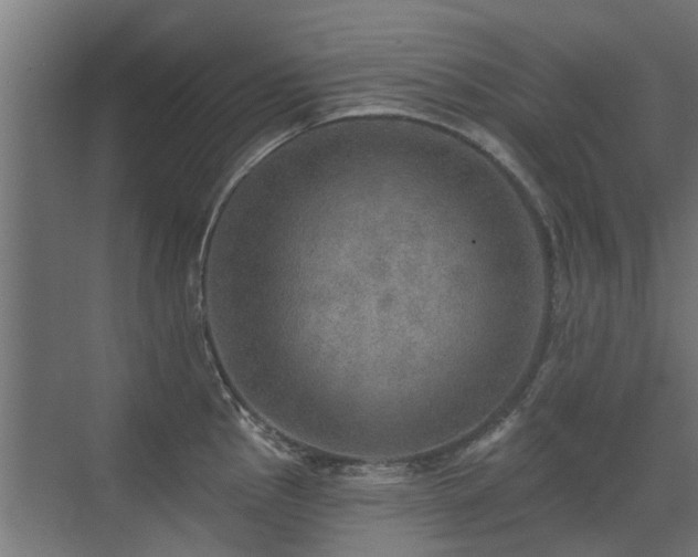 X0000072971145200607211216