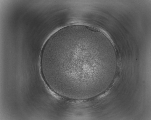 X0000072971149200607211217