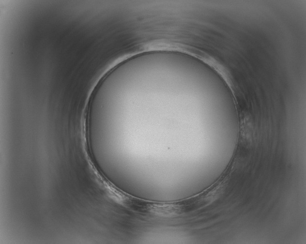 X0000072971150200607211217