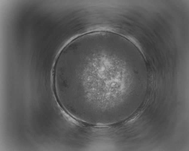 X0000072971151200607211217