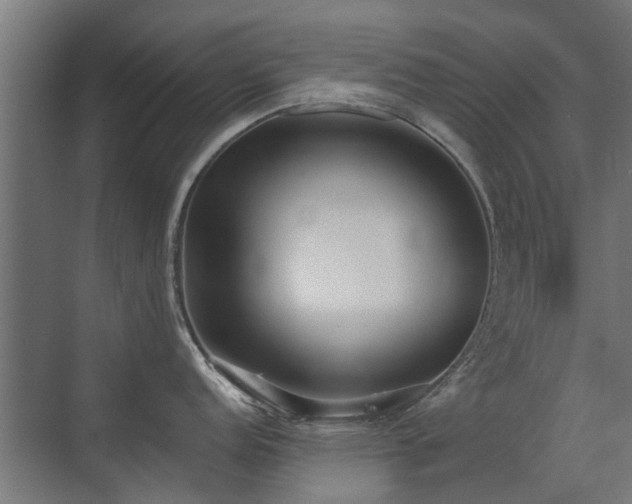 X0000072971152200607211217