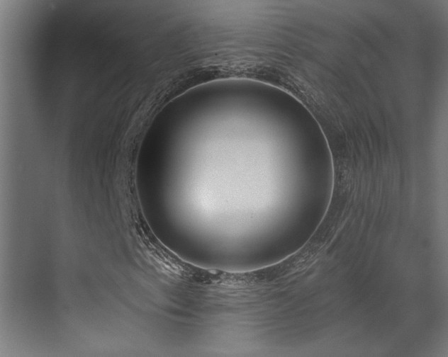 X0000072971153200607211216