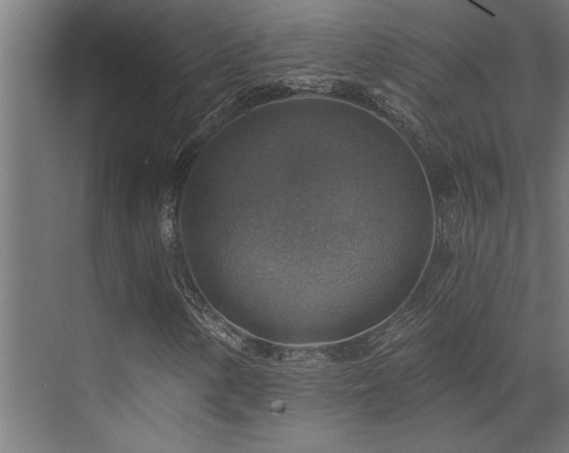 X0000072971154200607211216