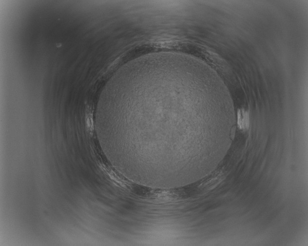 X0000072971155200607211216