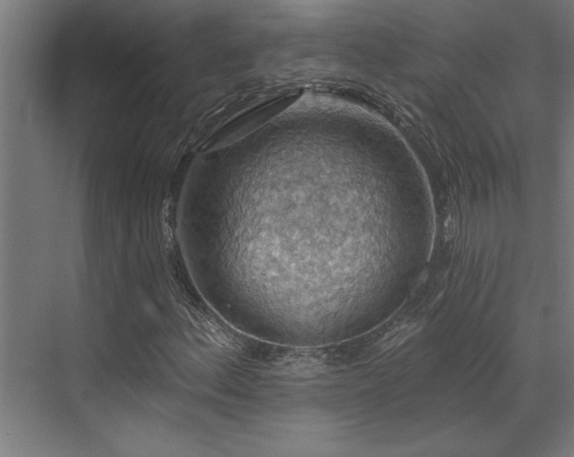 X0000072971156200607211216