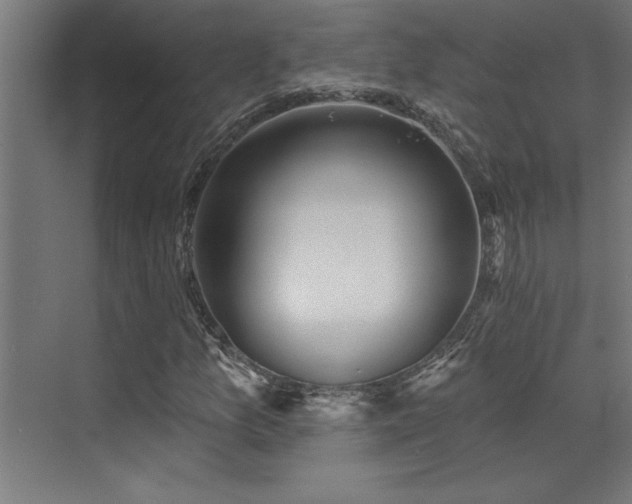 X0000072971157200607211216