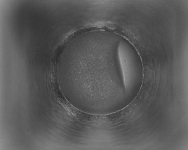 X0000072971158200607211216