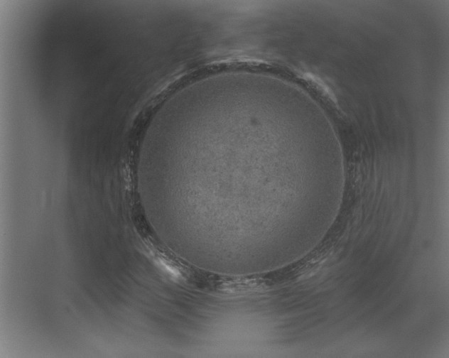 X0000072971159200607211216