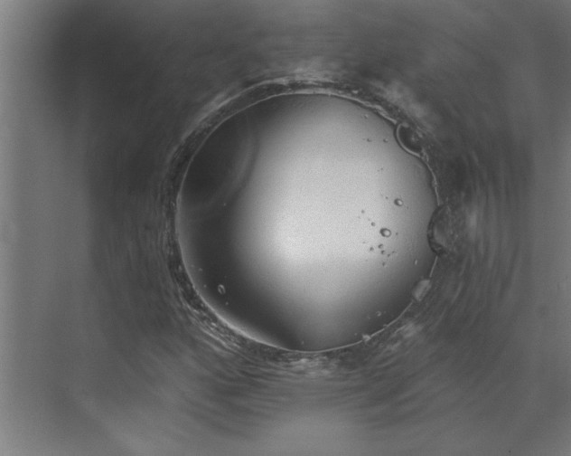 X0000072971160200607211216