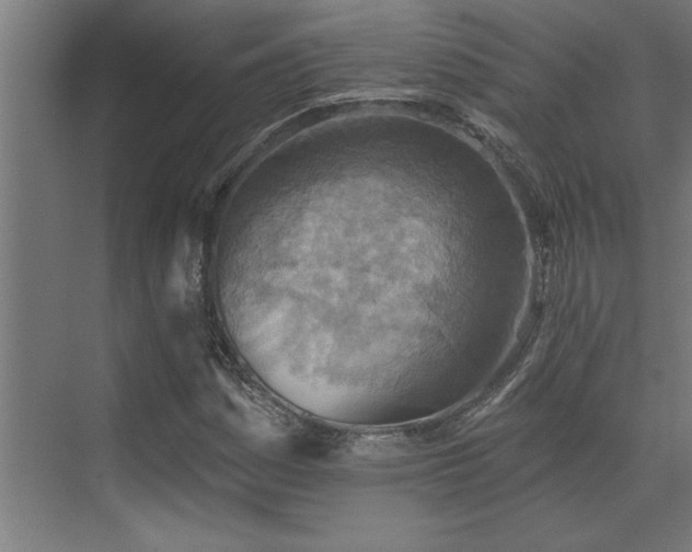 X0000072971161200607211216