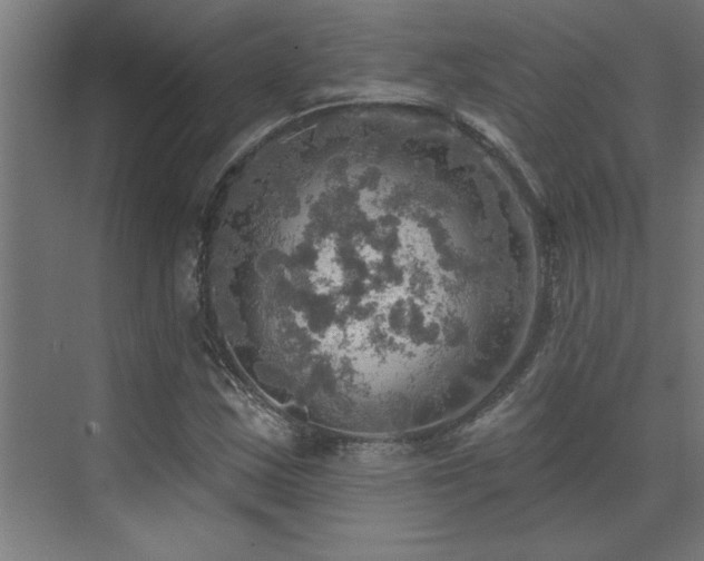 X0000072971163200607211216