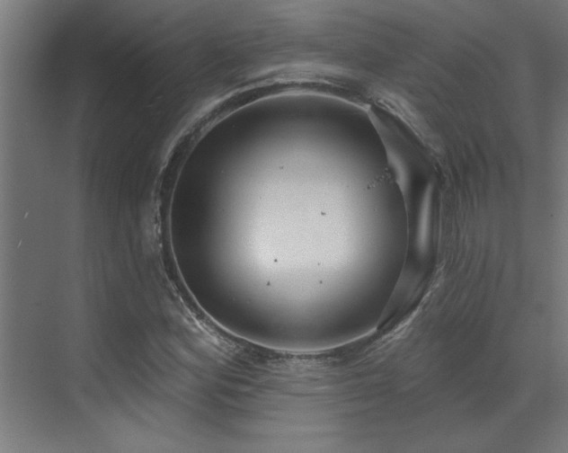 X0000072971164200607211216