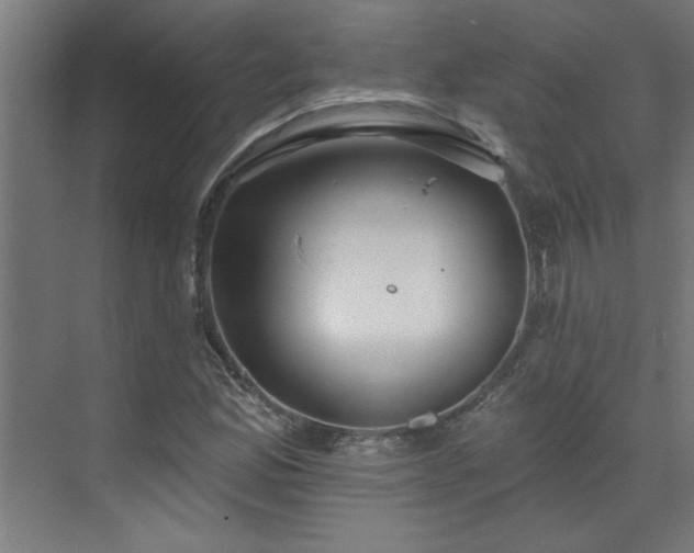 X0000072971165200607211216