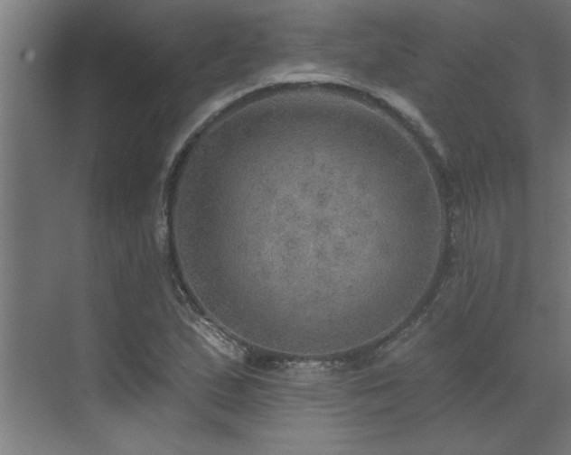 X0000072971167200607211216