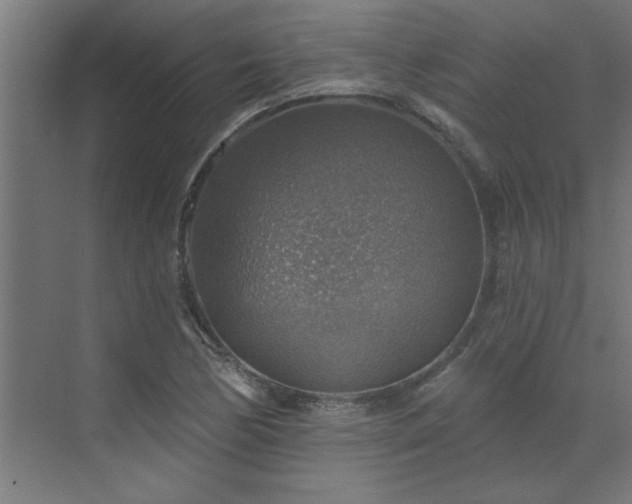 X0000072971170200607211215