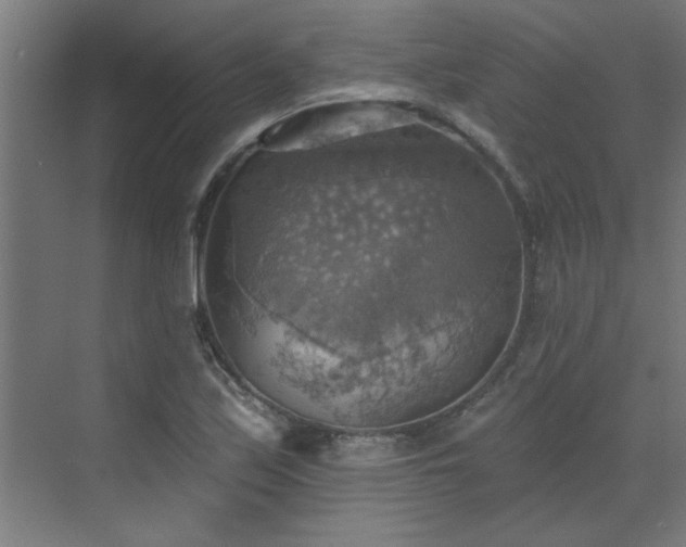 X0000072971171200607211215