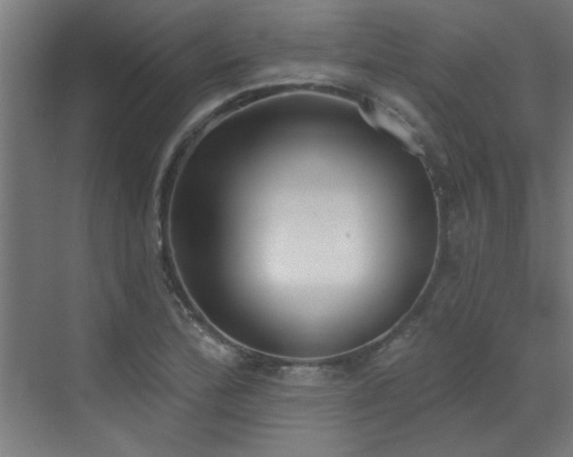 X0000072971172200607211215