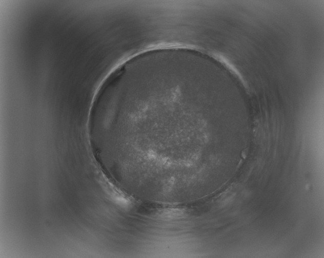 X0000072971173200607211215