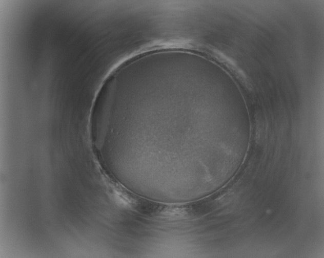 X0000072971174200607211215