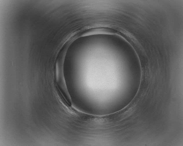 X0000072971177200607211215