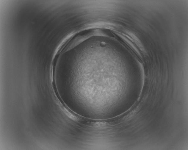 X0000072971180200607211215