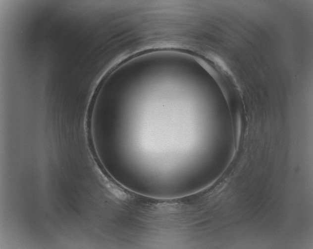 X0000072971181200607211215