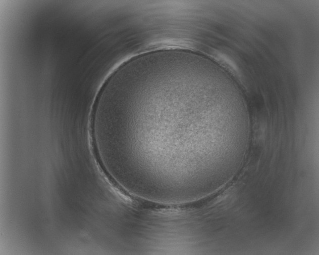 X0000072971182200607211215