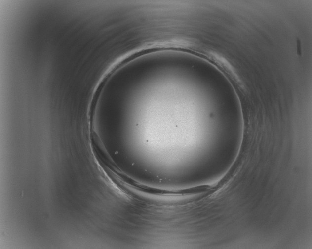 X0000072971184200607211215