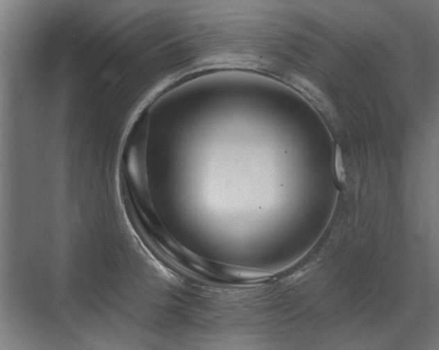 X0000072971188200607211215