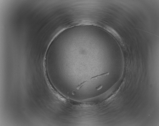 X0000072971190200607211215