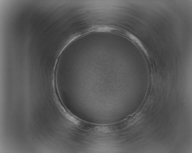 X0000072971194200607211215