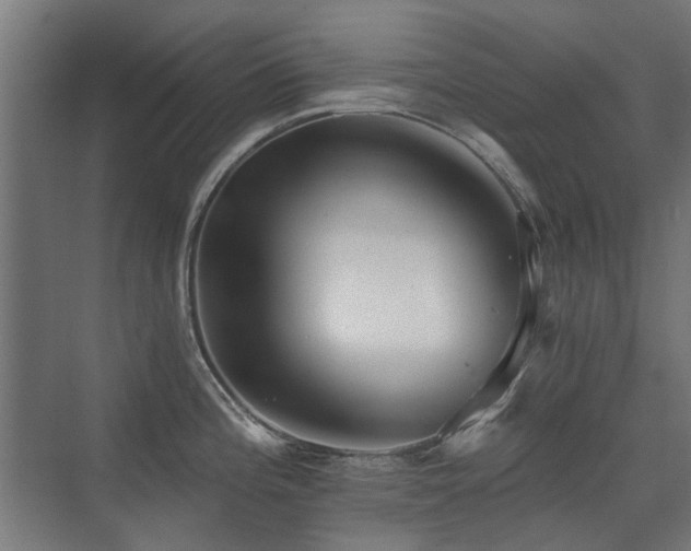 X0000072971196200607211215