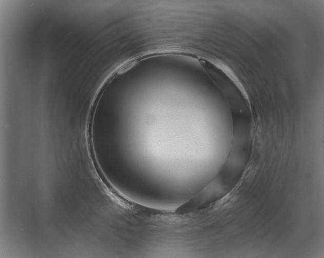 X0000072971197200607211215