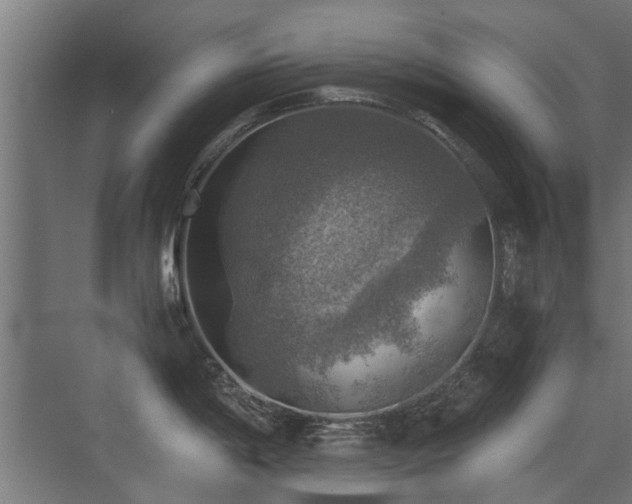 X0000072971198200607211215