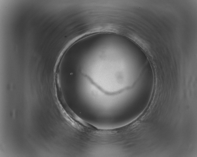 X0000072971200200607211215