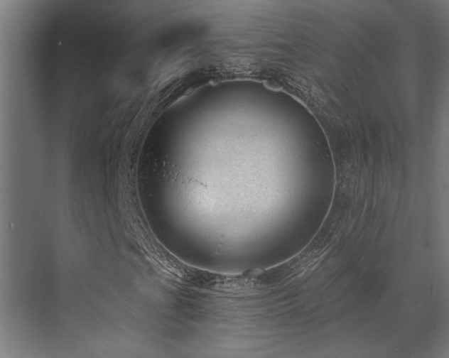 X0000072971201200607211214