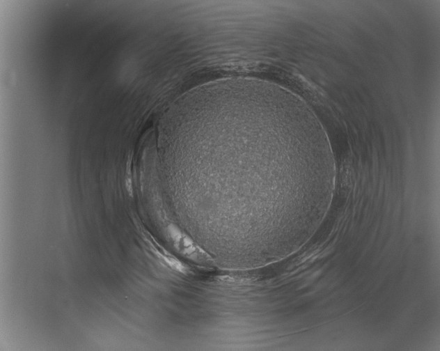 X0000072971202200607211214