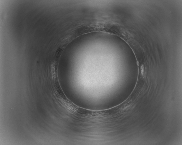 X0000072971203200607211214