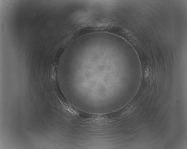 X0000072971204200607211214