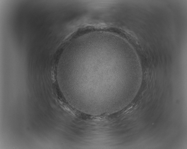 X0000072971205200607211214