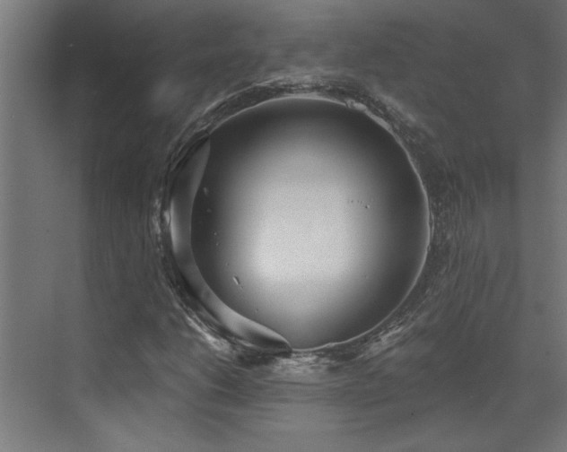 X0000072971206200607211214