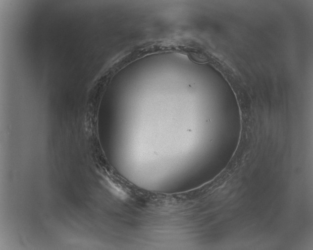 X0000072971207200607211214