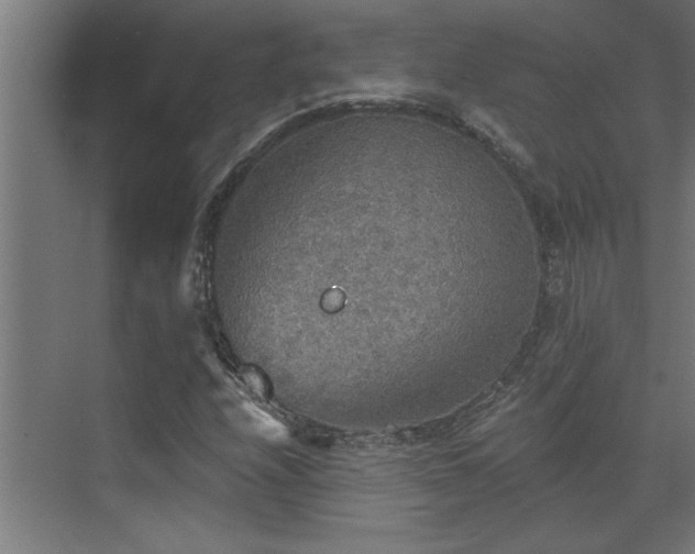 X0000072971208200607211214