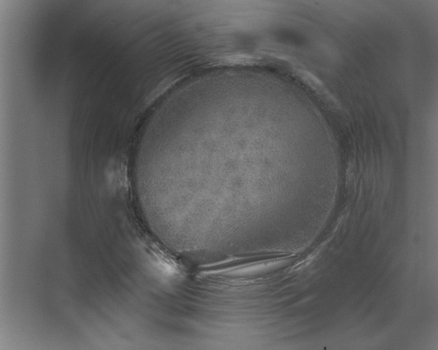 X0000072971209200607211214